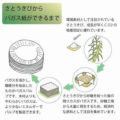 業務用バガスどんぶり